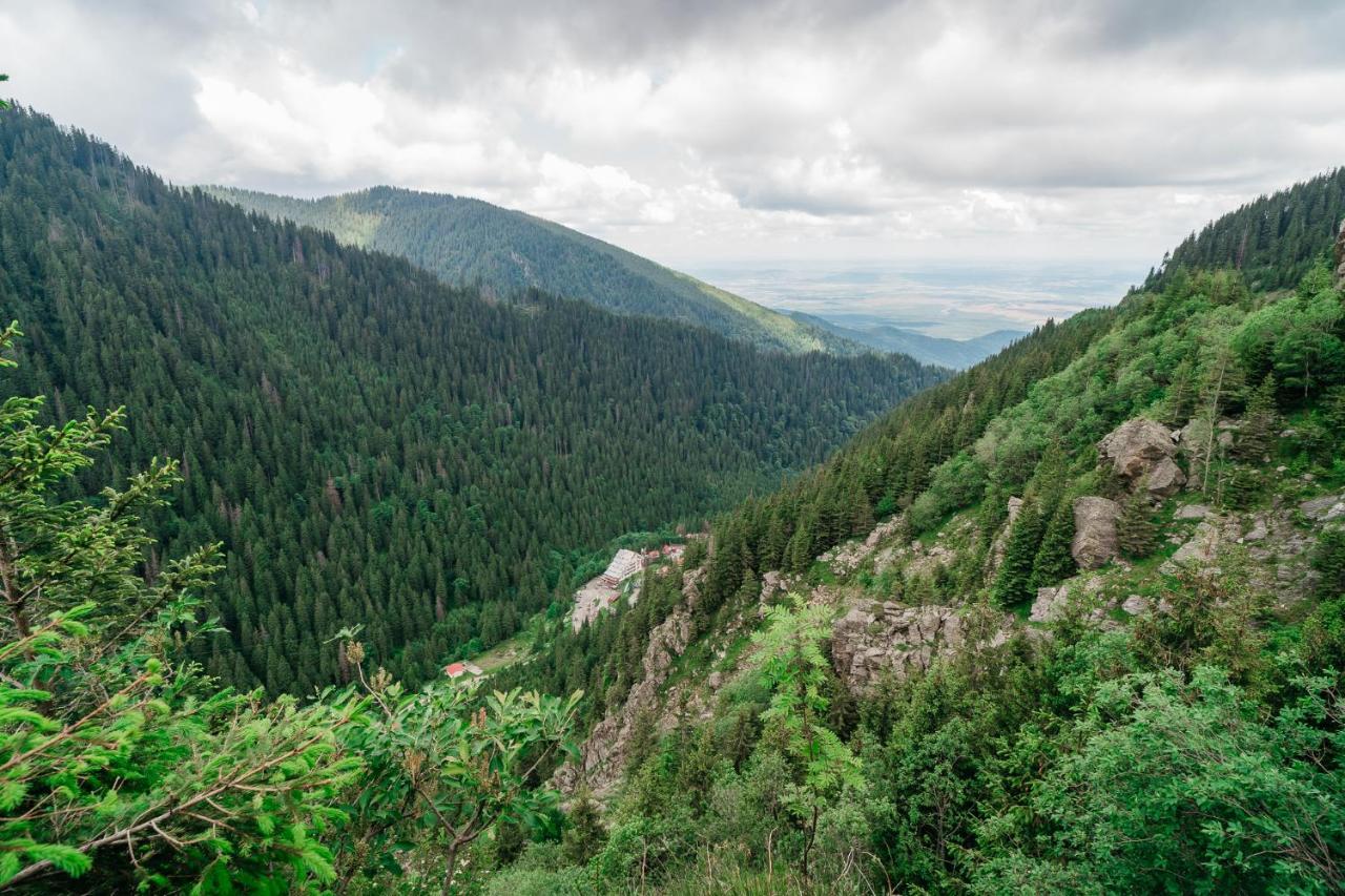 Balea Cascada Bed & Breakfast Cârțișoara Exterior photo